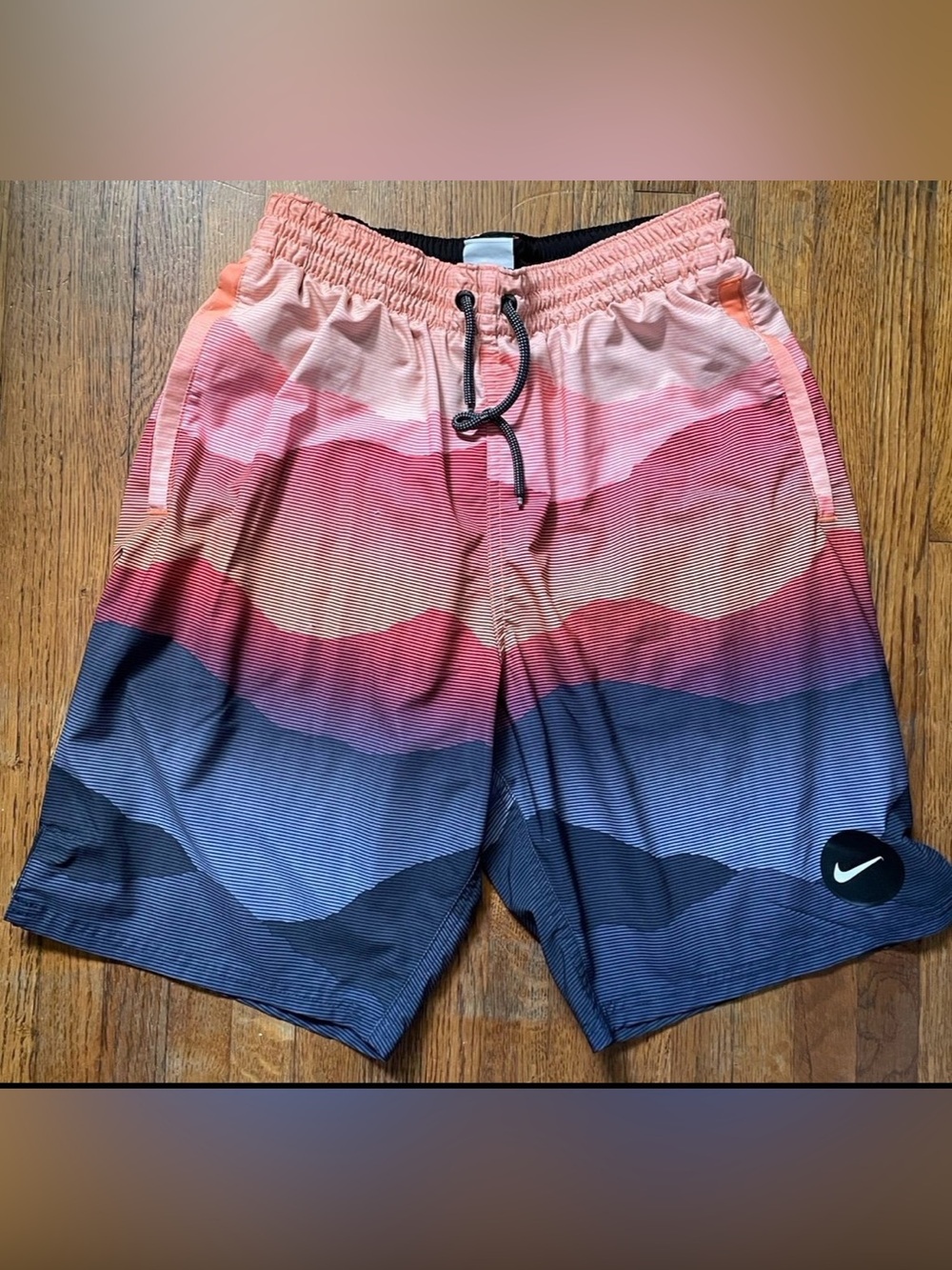 Nike Men's Landscape Vital 9 Volley Short